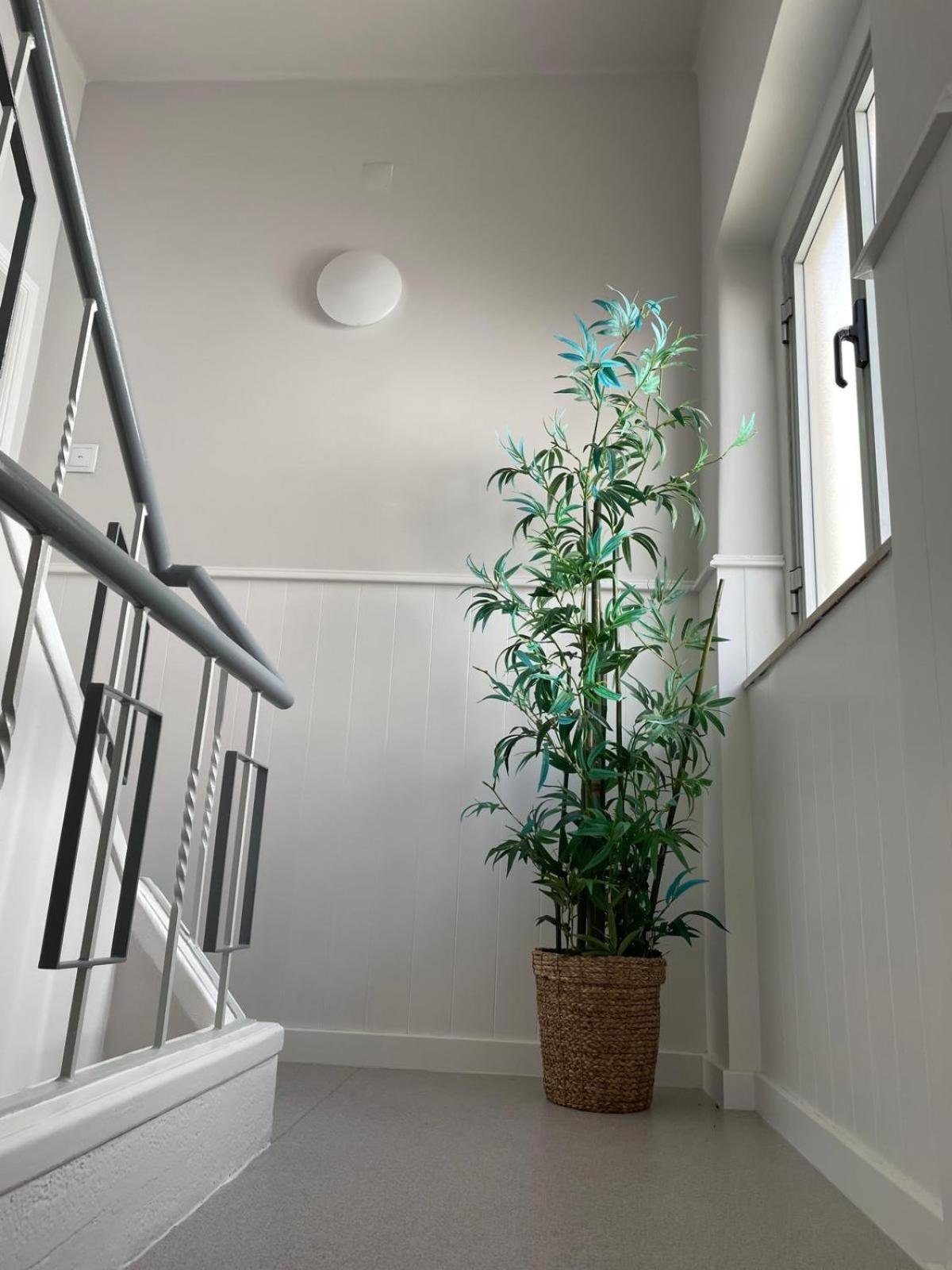 Lugar Dos Avos Apartment Nazare Phòng bức ảnh